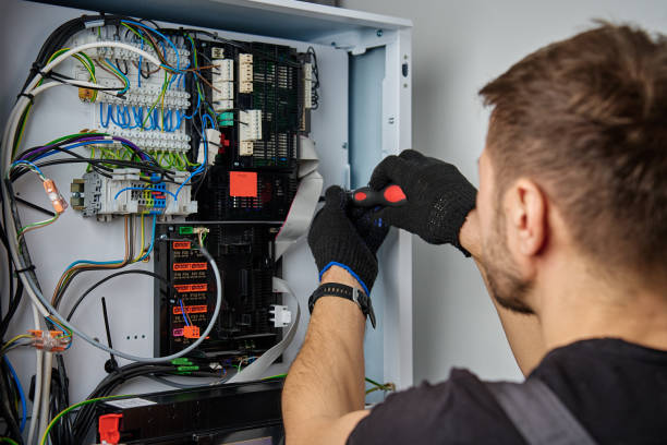 Licensed Electrical Panel Upgrade service in Chesaning, MI - No Joke electrician